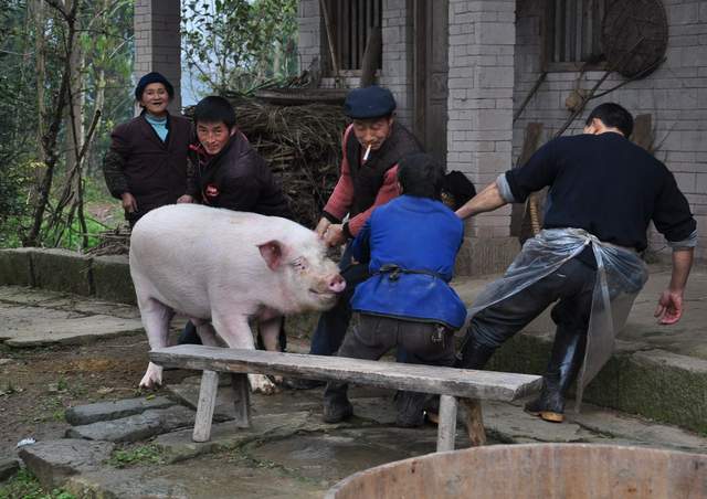 圖片[3] - 貧困地區(qū)過節(jié)前很掙錢的4個工程項目，許多人沒錯，誰做誰掙錢，別忘了（貧困地區(qū)搞甚么最掙錢） - 嚴(yán)選資源大全 - 嚴(yán)選資源大全