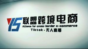 Tiktok無人直播，跨境電商小視頻躺著賺錢游戲玩法，不出境，不拍視頻剪輯，不拍照，不發貨，不售后 - 嚴選資源大全 - 嚴選資源大全