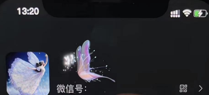 微信動態昵稱設置方法，可抖音直播引流，日賺上百【詳細視頻教程 素材】