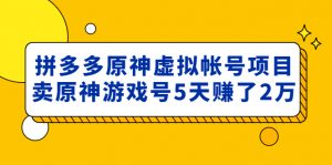 拼多多原神游戲虛擬賬號項目外賣2980:賣原神游戲號5天賺2萬 - 嚴選資源大全 - 嚴選資源大全