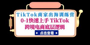 TikTok商戶啟航特訓營：0-1快速入門TikTok跨境電子商務底層思維 - 嚴選資源大全 - 嚴選資源大全