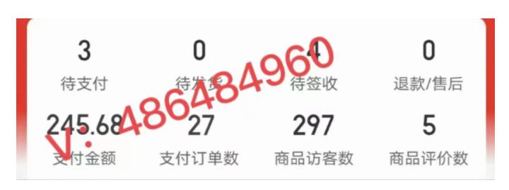 拼多多虛擬開店打卡群：入門到精通（昨日群里有小伙伴日入3000 ）2月26更新