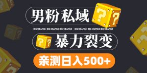 粉絲公域新項目:親自測試粉絲裂變式日收入5000(視頻教學) - 嚴選資源大全 - 嚴選資源大全