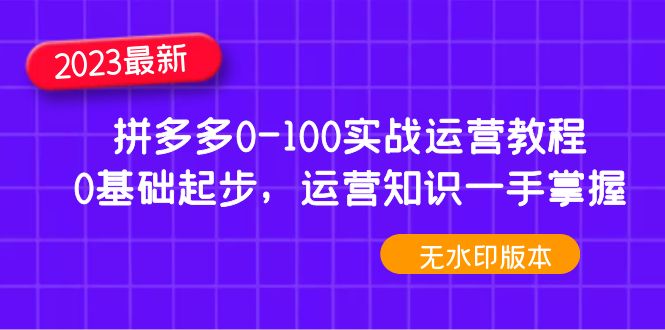 2023年拼多多商家0-100實戰(zhàn)演練使用基礎(chǔ)教程，0基礎(chǔ)性發(fā)展，盡在掌握使用常識(無水印) - 嚴選資源大全