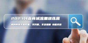 2023抖音商城數據流量班：盈利產品卡流實際操作，不播出-不上傳視頻-也能夠賣東西。 - 嚴選資源大全 - 嚴選資源大全
