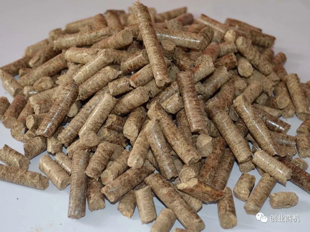 圖片[3]-投資小，適合夫妻2人干，一天也能搞個(gè)1000多，收入比打工高。-阿燦說(shuō)錢