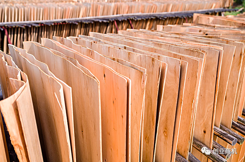 圖片[1]-投資小，適合夫妻2人干，一天也能搞個(gè)1000多，收入比打工高。-阿燦說(shuō)錢