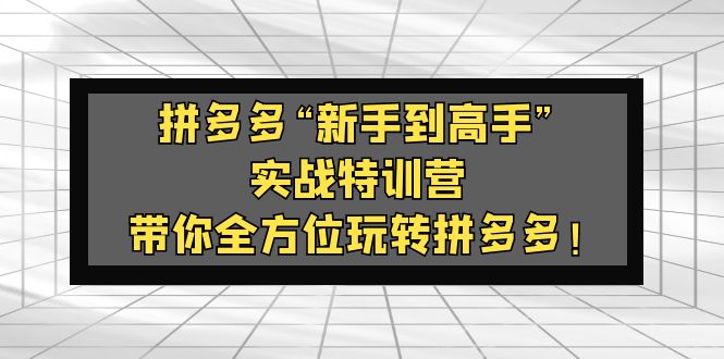 拼多多平臺“初學者到大神”實戰演練夏令營:陪您多方位輕松玩拼多多平臺! - 嚴選資源大全