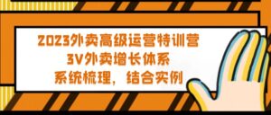 2023年外賣送餐高級(jí)運(yùn)營夏令營：3V外賣送餐-完善管理體系，系統(tǒng)軟件-整理-整合-案例- 嚴(yán)選資源大全 - 嚴(yán)選資源大全