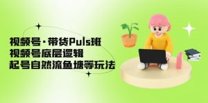 微信視頻號、銷售Puls班、微信視頻號底層思維、自然流漁塘等游戲玩法 - 嚴(yán)選資源大全 - 嚴(yán)選資源大全