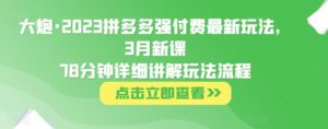 火炮·2023拼多多平臺強付全新游戲玩法，3月新教78分鐘詳細講解游戲玩法步驟 - 嚴選資源大全 - 嚴選資源大全
