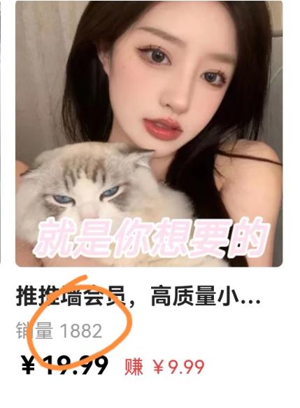 外面收費299的最全擴列變現項目課程，輕松引流暴力變現