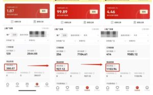 多多視頻帶貨項目，搬運日入過萬，0成本，輕松實現(xiàn)躺賺（教程+軟件） - 嚴(yán)選資源大全 - 嚴(yán)選資源大全