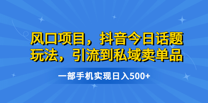 風口項目，抖音今日話題玩法，引流到私域賣單品，一部手機實現日入500+ - 嚴選資源大全