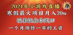 2024年寒假爆火項目,小游戲直播月入20w+,學會了之后你將翻身 - 嚴選資源大全 - 嚴選資源大全