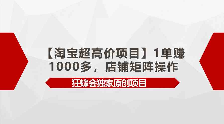 （9849期）【淘寶超高價項目】1單賺1000多，店鋪矩陣操作 - 嚴選資源大全