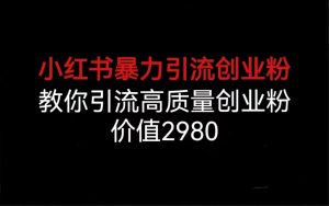 小紅書暴力引流創業粉,教你引流高質量創業粉,價值2980 - 嚴選資源大全 - 嚴選資源大全