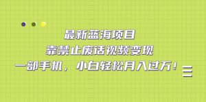 最新藍海項目，靠禁止廢話視頻變現，一部手機，小白輕松月入過萬！ - 嚴選資源大全 - 嚴選資源大全