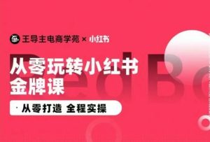 王導主·小紅書電商運營實操課,?從零打造 ?全程實操 - 嚴選資源大全 - 嚴選資源大全