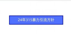 24年315暴力引流方針 - 嚴(yán)選資源大全 - 嚴(yán)選資源大全