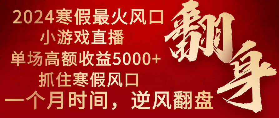 2024年最火寒假風口項目 小游戲直播 單場收益5000+抓住風口 一個月直接提車 - 嚴選資源大全