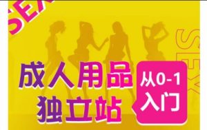 成人用品獨立站從0-1入門，成品獨立站運營全流程教學，七大好賣成品獨立站推薦 - 嚴選資源大全 - 嚴選資源大全