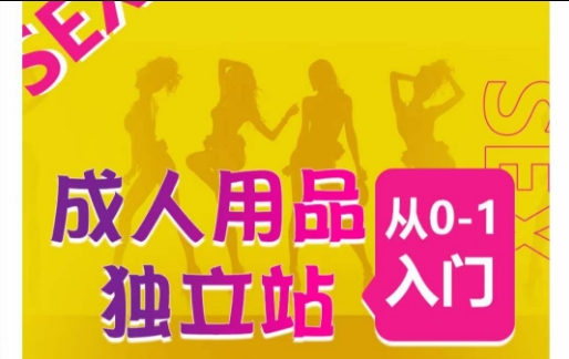 成人用品獨立站從0-1入門,成品獨立站運營全流程教學,七大好賣成品獨立站推薦 - 嚴選資源大全