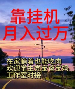 （10838期）靠掛機，日入1000+，躺著也能吃肉，適合寶爸寶媽學生黨工作室，電腦手… - 嚴選資源大全 - 嚴選資源大全