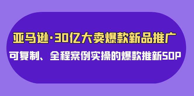 亞馬遜30億大賣爆款新品推廣,可復制、全程案例實操的爆款推新SOP - 嚴選資源大全