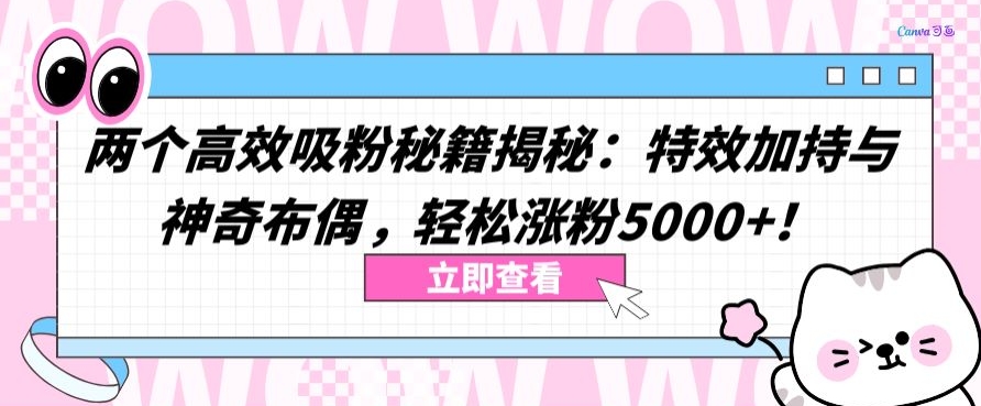 兩個高效吸粉秘籍揭秘：特效加持與神奇布偶，輕松漲粉5000+ - 嚴選資源大全