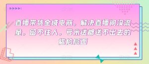 直播帶貨全域電商，解決直播間沒流量，留不住人，虧米送都送不出去的尷尬局面 - 嚴選資源大全 - 嚴選資源大全