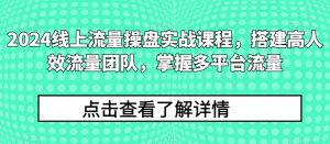 2024線上流量操盤實戰課程,搭建高人效流量團隊,掌握多平臺流量 - 嚴選資源大全 - 嚴選資源大全