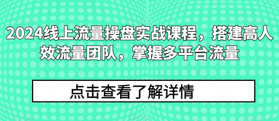 2024線上流量操盤實戰課程，搭建高人效流量團隊，掌握多平臺流量 - 嚴選資源大全