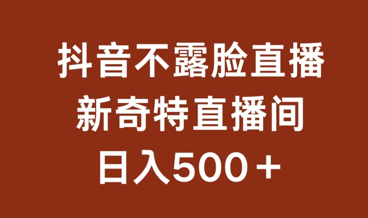 不露臉掛機直播，新奇特直播間，日入500+ - 嚴(yán)選資源大全