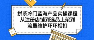 （9527期）拼系冷門藍海產品實操課程，從注冊店鋪到選品上架到流量維護環環相扣 - 嚴選資源大全 - 嚴選資源大全
