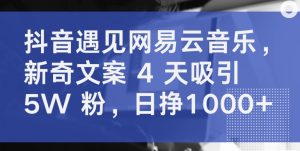 抖音遇見網易云音樂,新奇文案 4 天吸引 5W 粉,日掙1000+ - 嚴選資源大全 - 嚴選資源大全