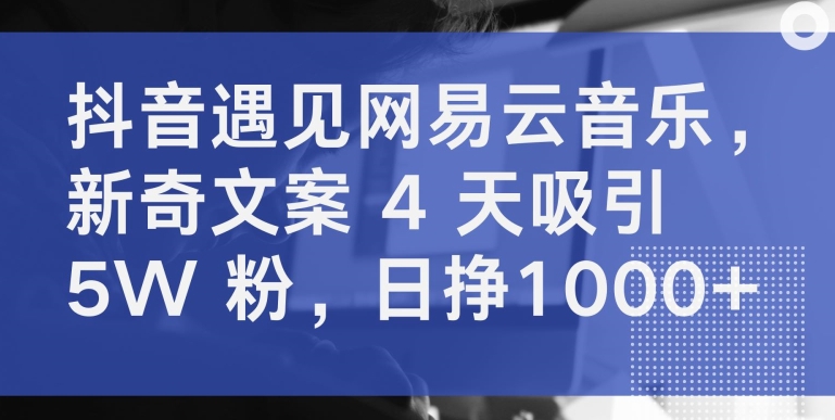抖音遇見網(wǎng)易云音樂，新奇文案 4 天吸引 5W 粉，日掙1000+ - 嚴選資源大全