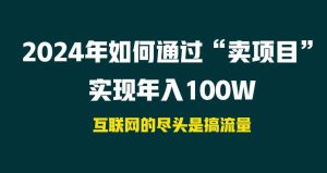 (9147期) 2024年如何通過“賣項目”實現年入100W - 嚴選資源大全 - 嚴選資源大全