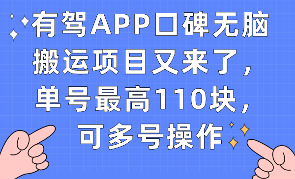 有駕APP口碑無腦搬運項目又來了，單號最高110塊，可多號操作 - 嚴選資源大全
