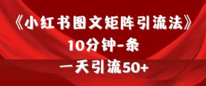 (9538期)《小紅書圖文矩陣引流法》 10分鐘-條 ,一天引流50+ - 嚴選資源大全 - 嚴選資源大全