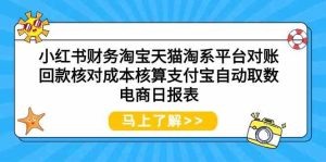 小紅書財務(wù)淘寶天貓?zhí)韵灯脚_對賬回款核對成本核算支付寶自動取數(shù)電商日報表 - 嚴選資源大全 - 嚴選資源大全
