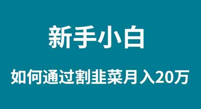 （9308期）新手小白如何通過割韭菜月入 20W - 嚴選資源大全