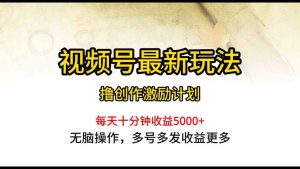 （10087期）視頻號最新玩法，每日一小時月入5000+ - 嚴選資源大全 - 嚴選資源大全