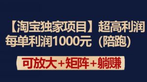 【淘寶獨家項目】超高利潤：每單利潤1000元 - 嚴選資源大全 - 嚴選資源大全