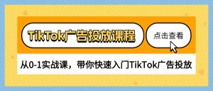 (10731期)TikTok廣告投放課程,從0-1實(shí)戰(zhàn)課,帶你快速入門(mén)TikTok廣告投放(30節(jié)課) - 嚴(yán)選資源大全 - 嚴(yán)選資源大全