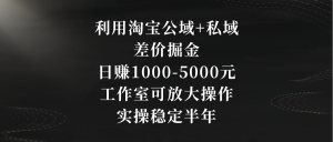 利用淘寶公域+私域差價掘金，日賺1000-5000元，工作室可放大操作，實操… - 嚴選資源大全 - 嚴選資源大全
