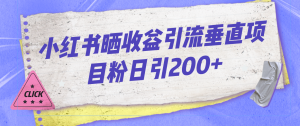 小紅書曬收益圖引流垂直項目粉日引200+ - 嚴選資源大全 - 嚴選資源大全
