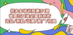 拼多多培訓班第34期:做高價女裝必盈利剖析選品/測款/運營/推廣/拓展 - 嚴選資源大全 - 嚴選資源大全
