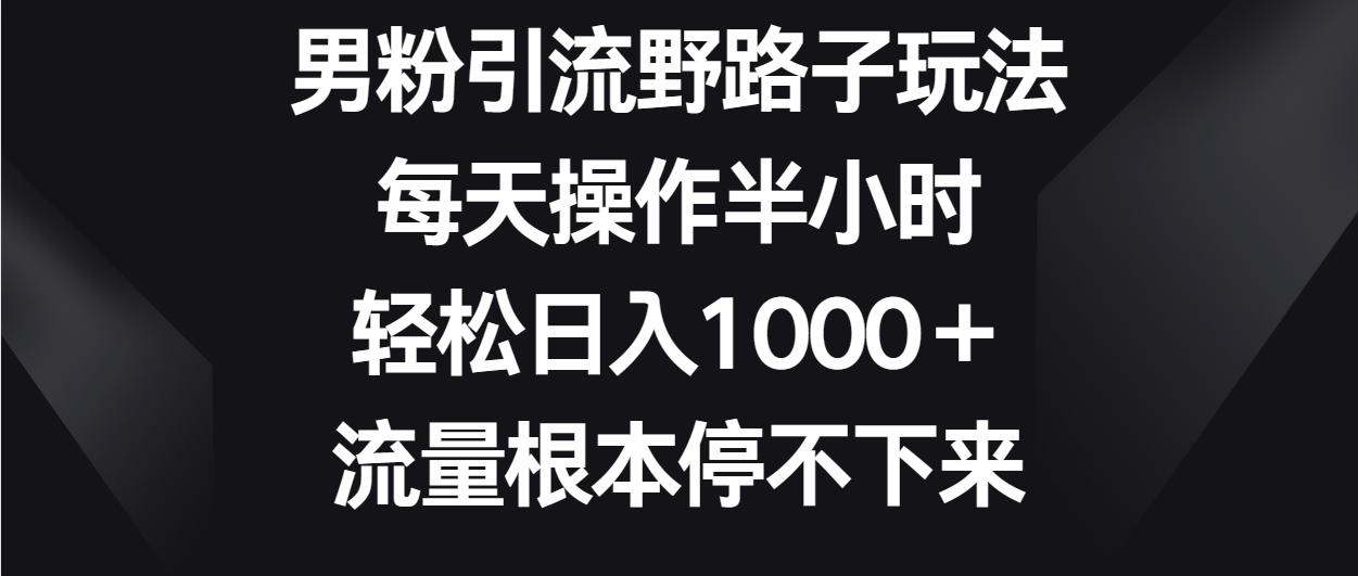 男粉引流野路子玩法，每天操作半小時輕松日入1000＋，流量根本停不下來 - 嚴選資源大全