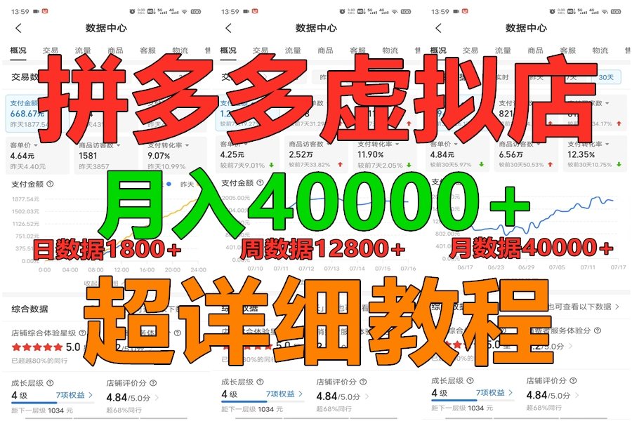 拼多多虛擬電商訓練營月入40000+，全網最詳細，你做你也行，暴利穩定長久 - 嚴選資源大全